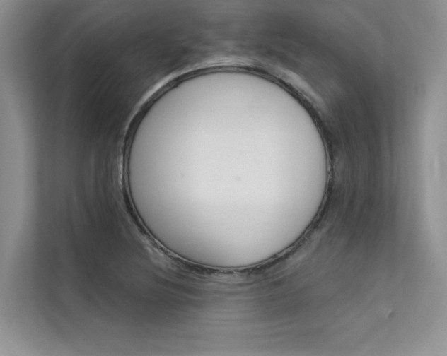 X0000112181220200908070933