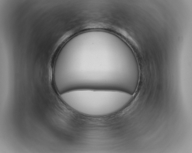 X0000112181221200908070933