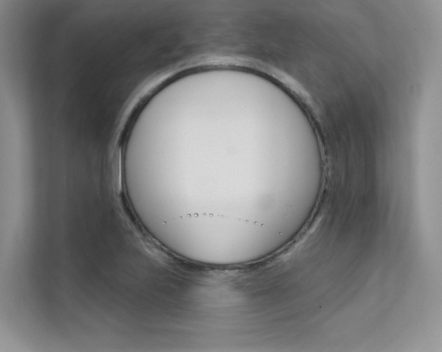 X0000112181223200908070933