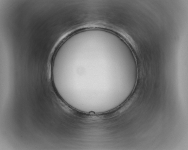 X0000112181224200908070933