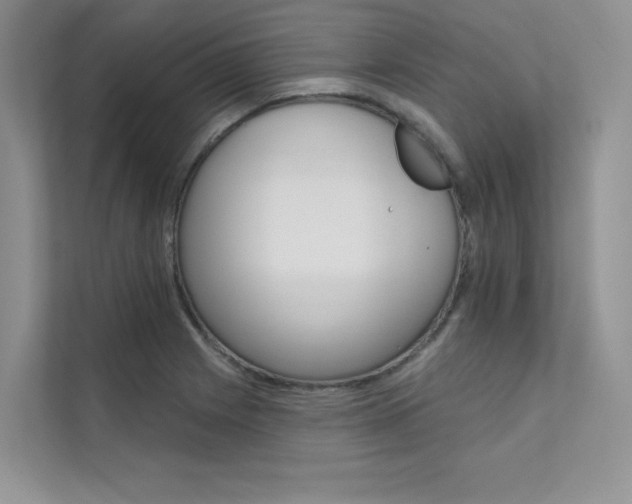 X0000112181225200908070933