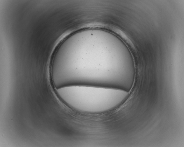 X0000112181229200908070933