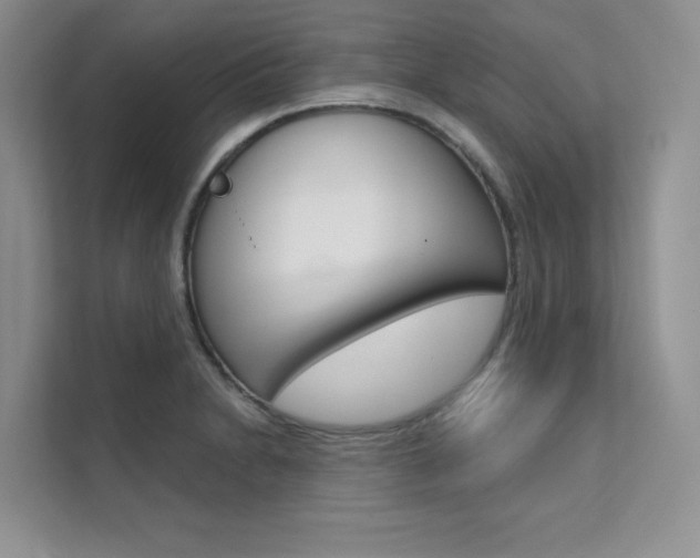 X0000112181230200908070933