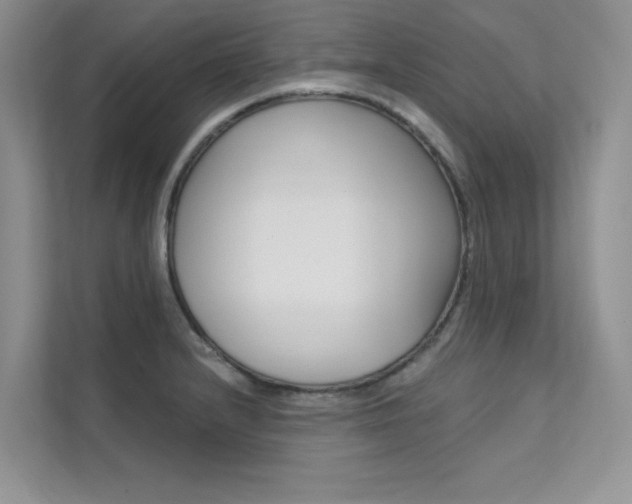 X0000112181232200908070933