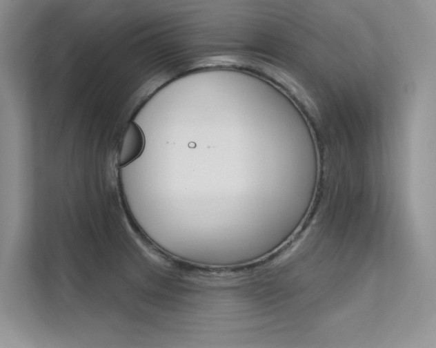 X0000112181233200908070933