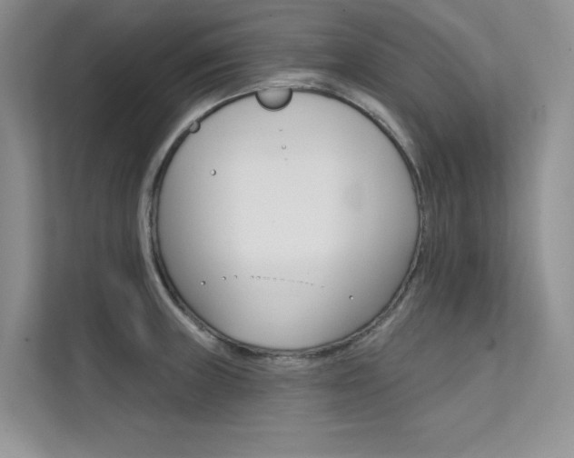 X0000112181235200908070933
