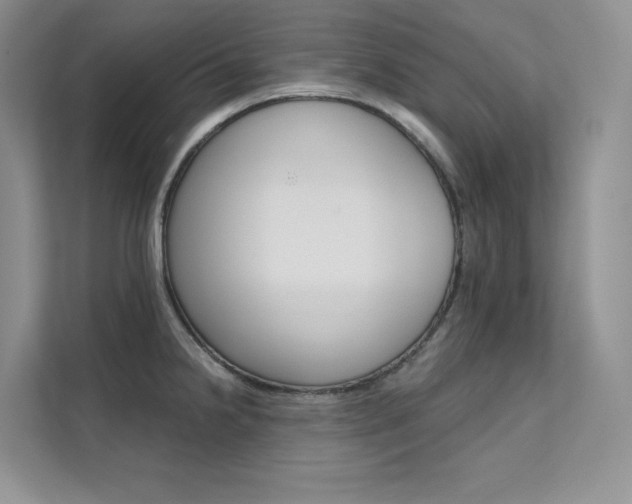 X0000112181238200908070933