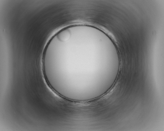 X0000112181239200908070933