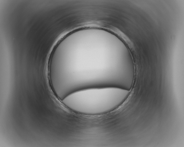 X0000112181240200908070933