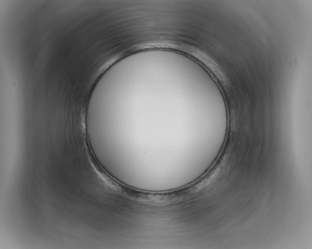 X0000112181241200908070933