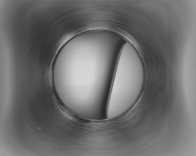 X0000112181242200908070933