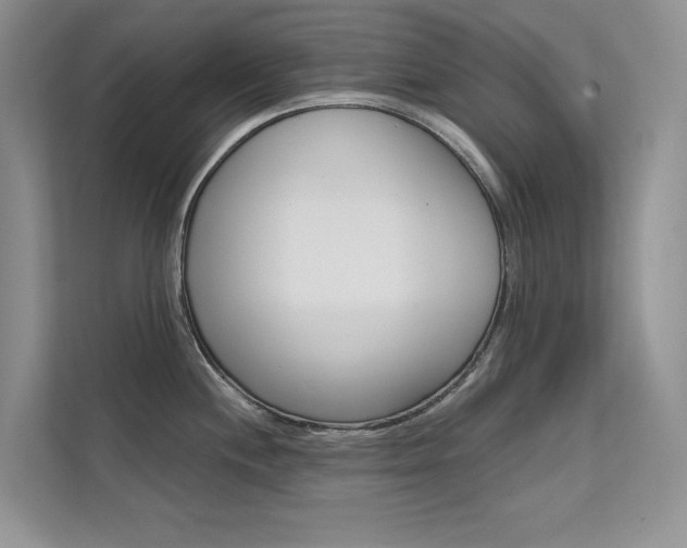 X0000112181244200908070934