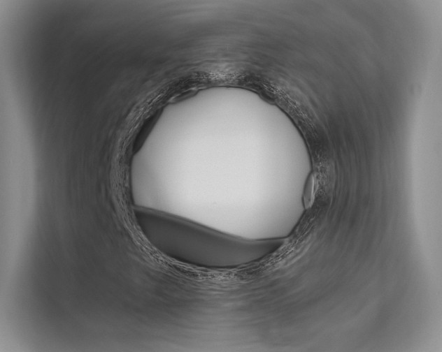X0000112181249200908070933