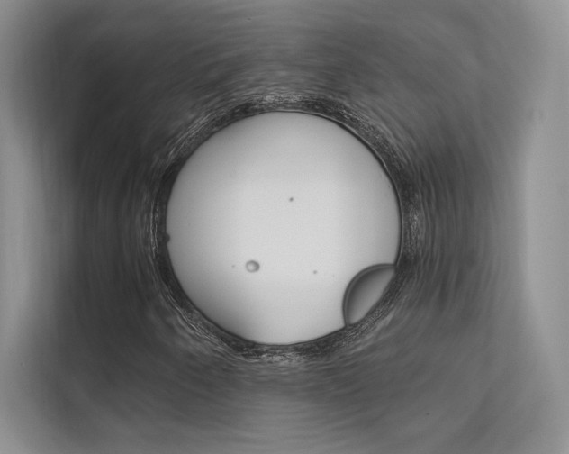 X0000112181250200908070933