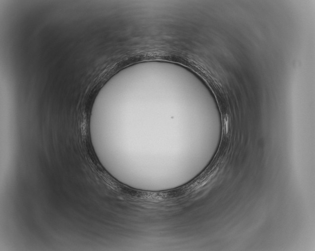 X0000112181251200908070933