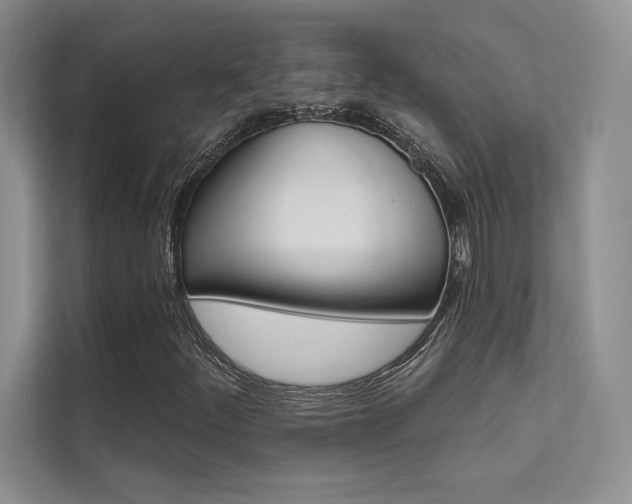 X0000112181252200908070933