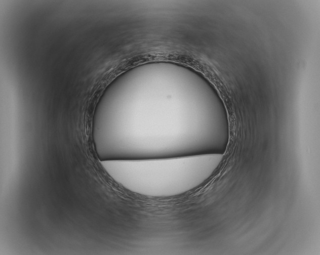 X0000112181253200908070933
