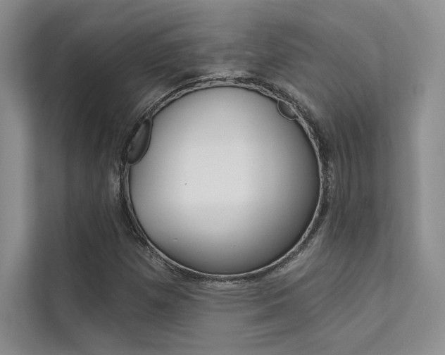 X0000112181257200908070933
