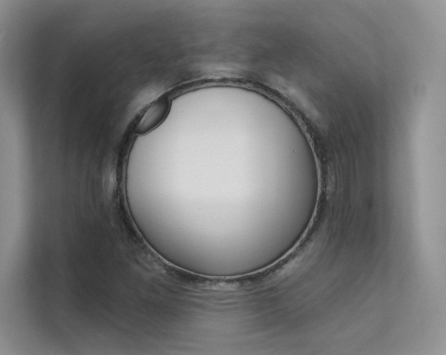 X0000112181261200908070933