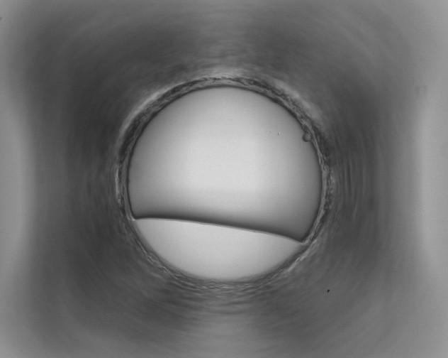 X0000112181262200908070933