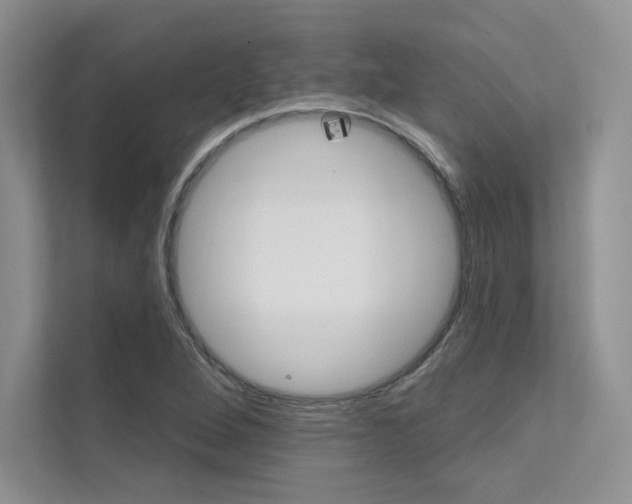 X0000112181264200908070933