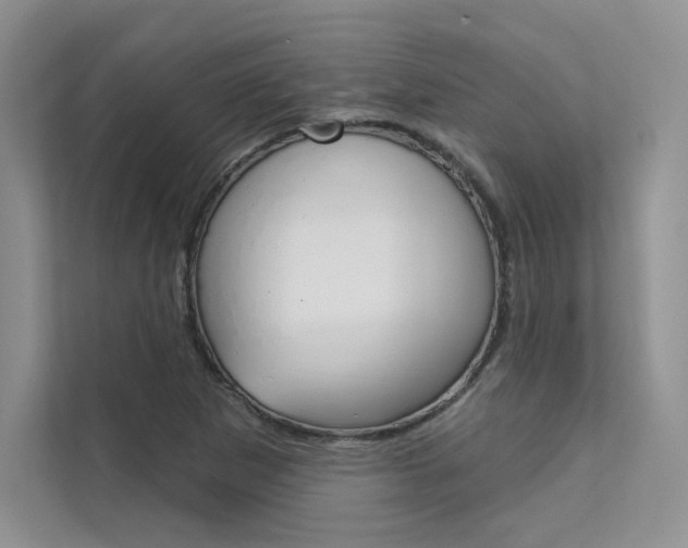 X0000112181265200908070933