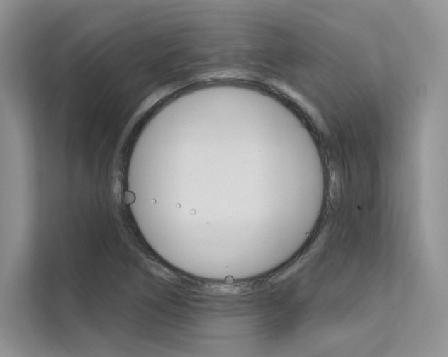 X0000112181266200908070933