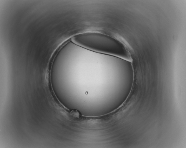 X0000112181268200908070933