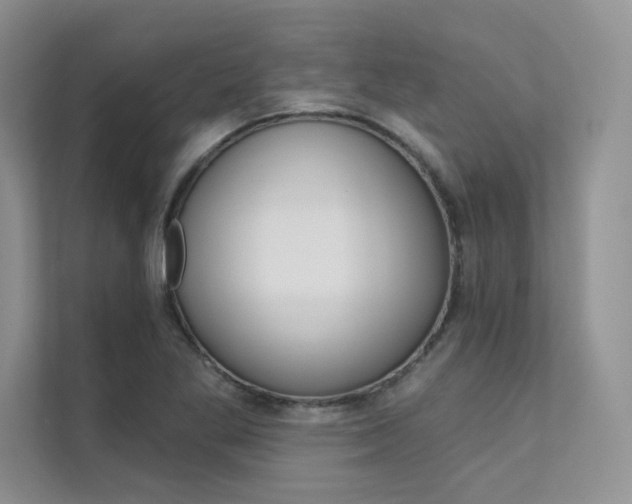 X0000112181269200908070933