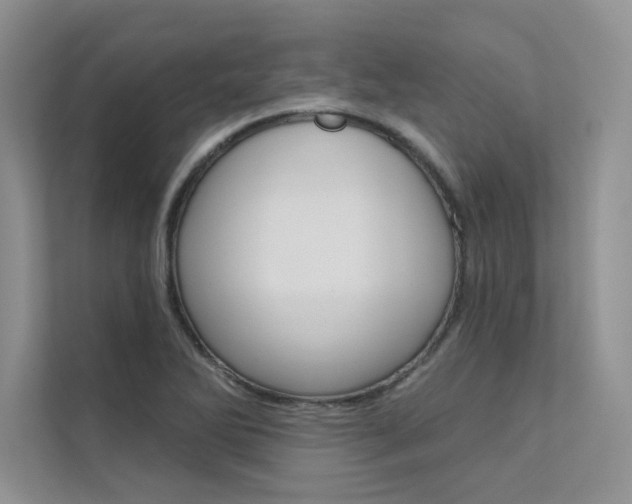 X0000112181270200908070933