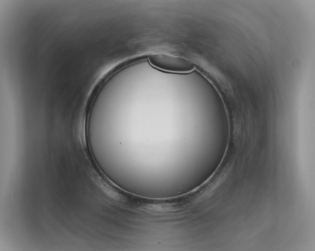 X0000112181272200908070933