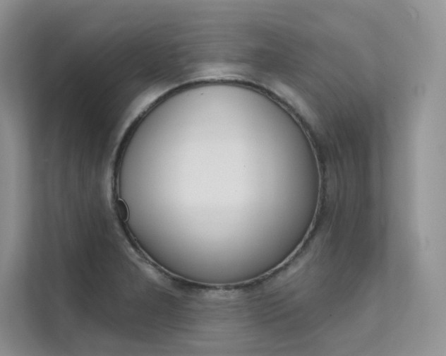X0000112181277200908070933