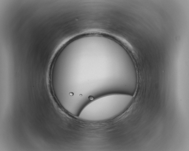 X0000112181279200908070933