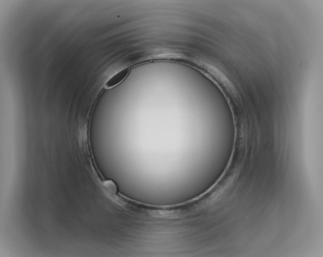 X0000112181281200908070933