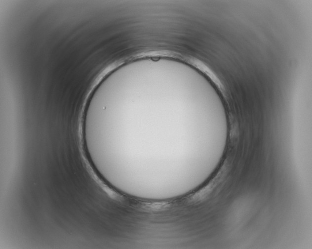 X0000112181282200908070933