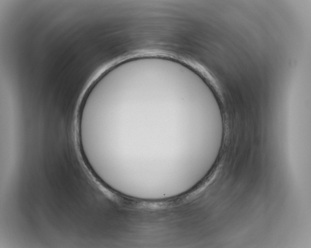 X0000112181286200908070932