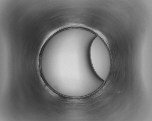 X0000112181287200908070932