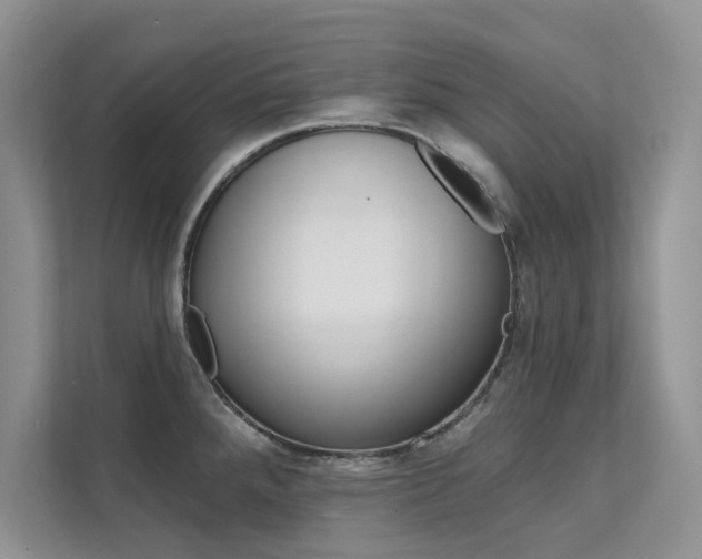X0000112181288200908070932