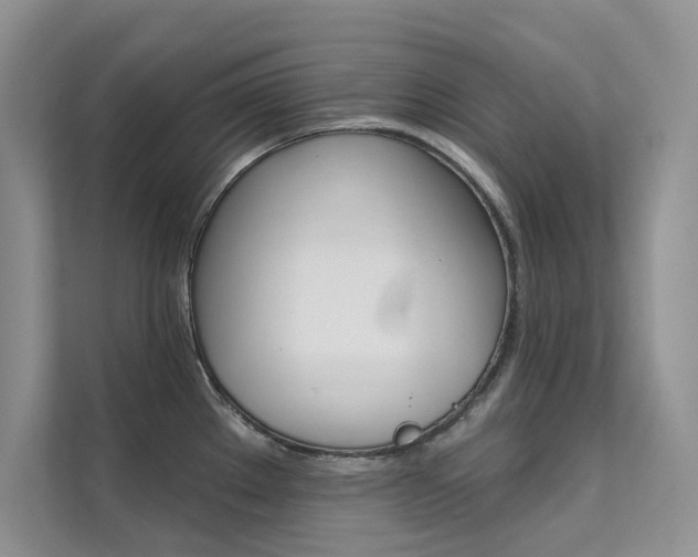 X0000112181289200908070932