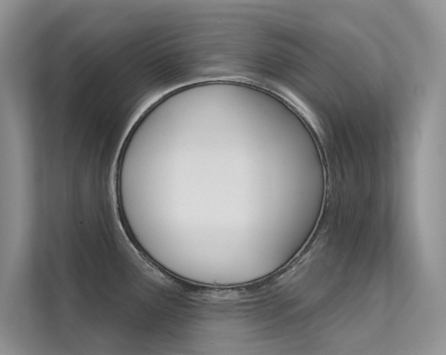 X0000112181291200908070932