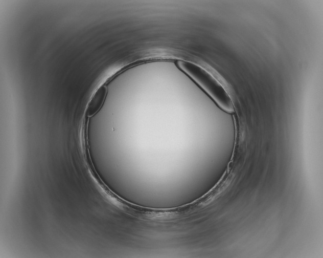 X0000112181293200908070932