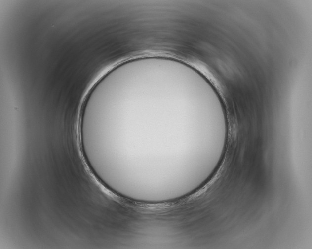X0000112181294200908070932
