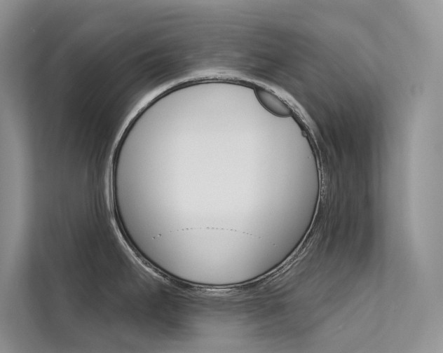 X0000112181295200908070932