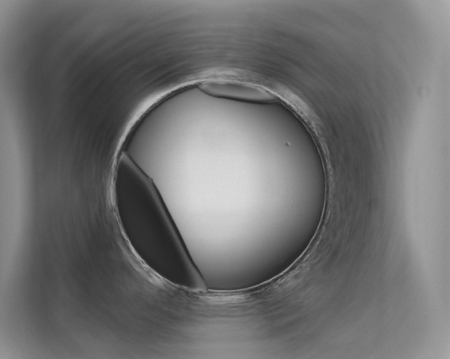 X0000112181296200908070932