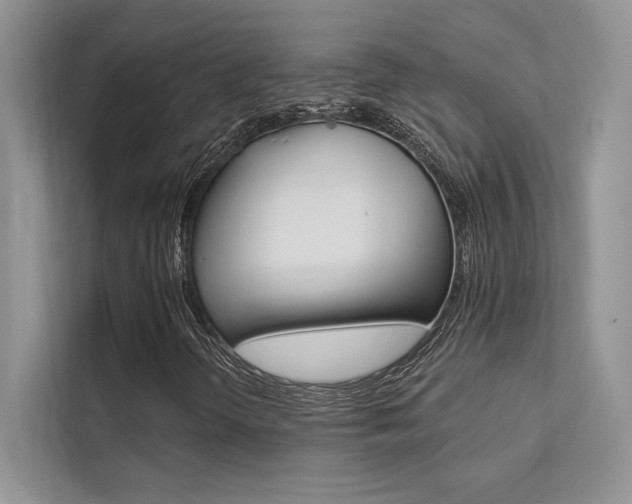 X0000112181298200908070932