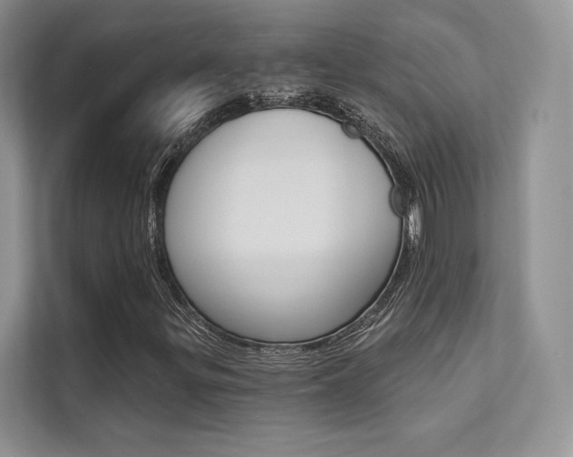 X0000112181299200908070932