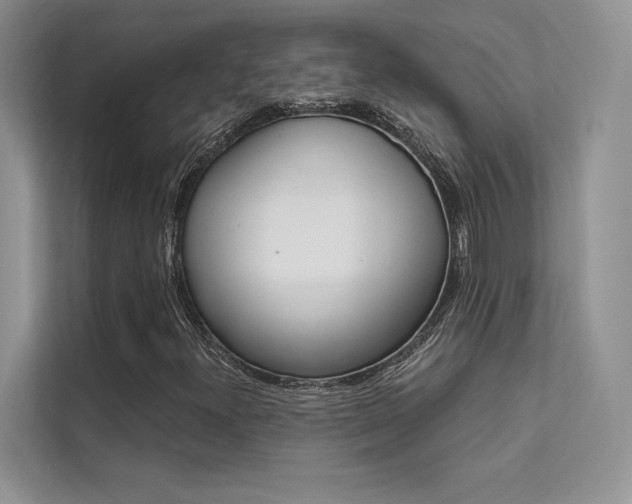 X0000112181300200908070932