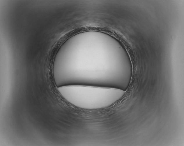 X0000112181303200908070932