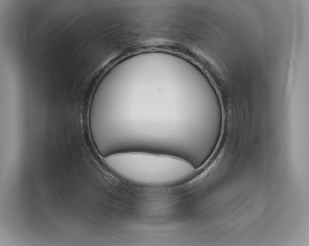 X0000112181305200908070932