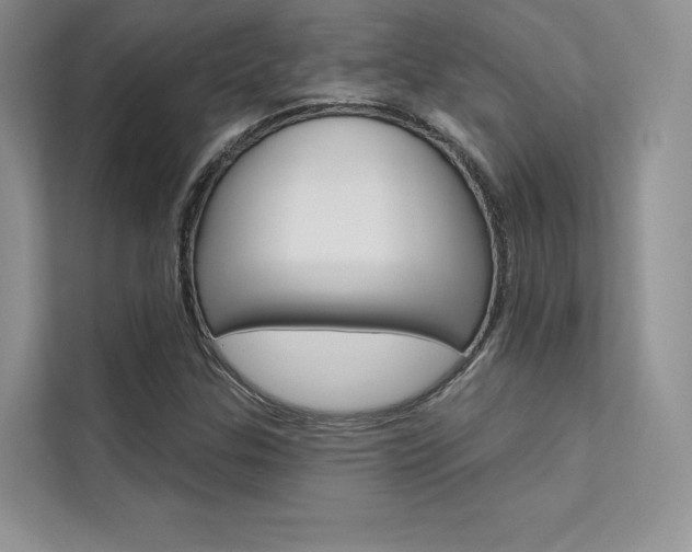 X0000112181307200908070932